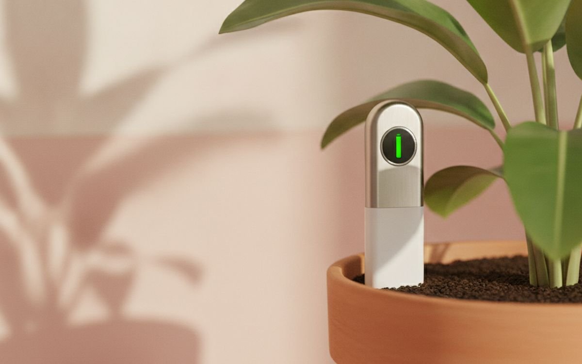 A moisture meter, if you overwater
